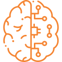 brain
