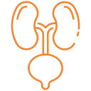 urology