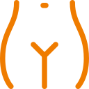 pubis